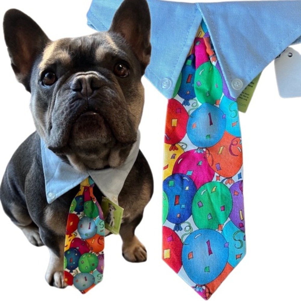 Birthday balloon dog tie (medium 15-19”)